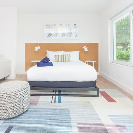 Large Stylish Studio Apartment In El Portal #3 Miami Esterno foto